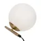 Настольный светильник Цветение / Blossom Freya fr5259tl-01bs