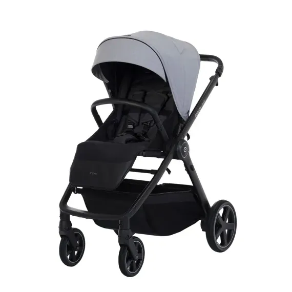 Коляска Espiro Only 2 в 1 Monument Gray (407)