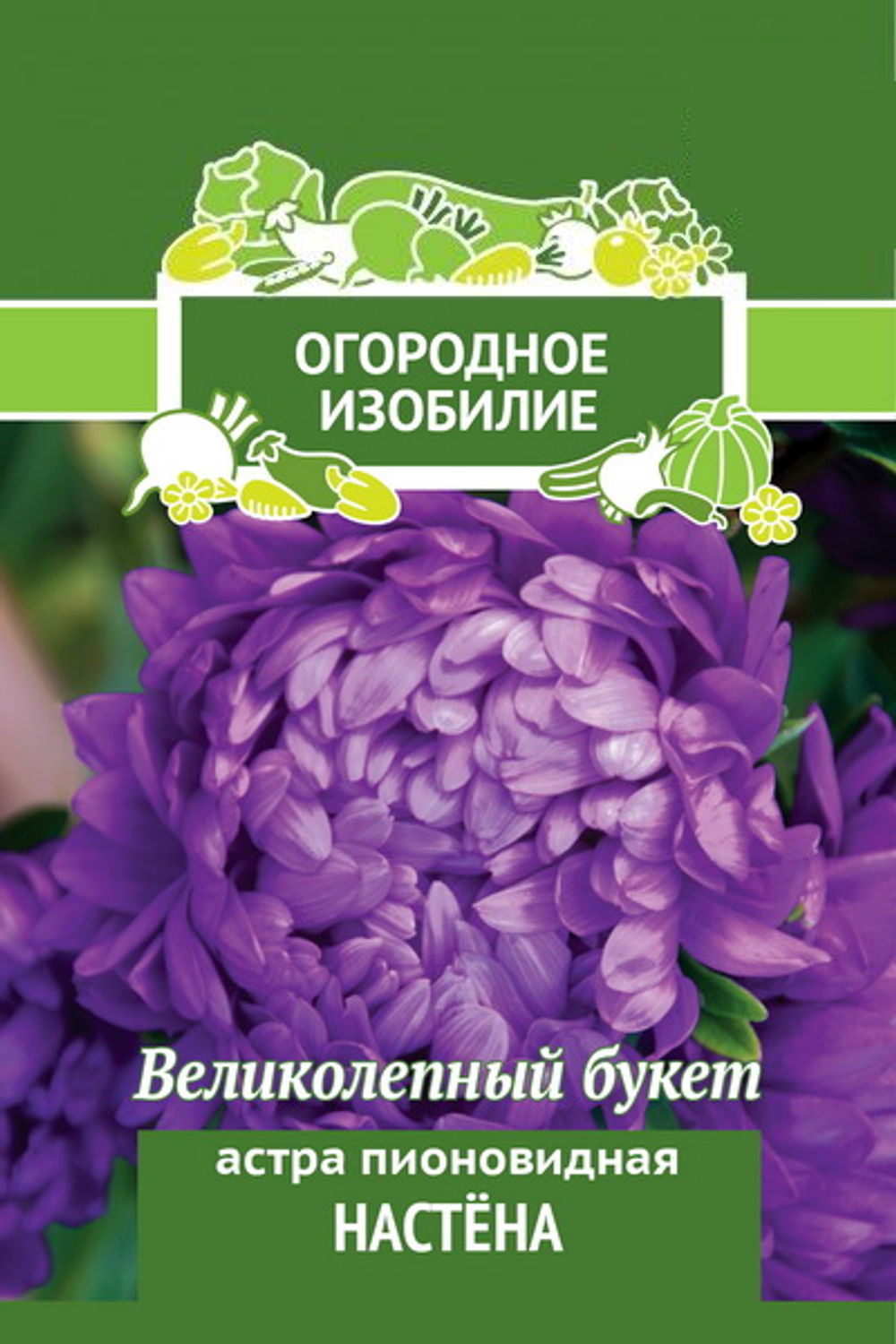 Астра пионовидная Настена