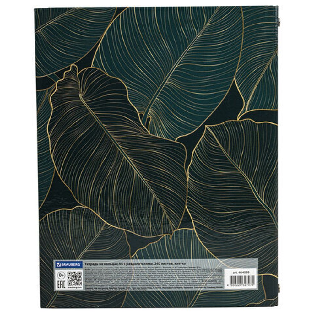Тетрадь на кольцах А5 175х215 мм, 240 л., твердый картон, с разделителями, BRAUBERG, "Листья", 404099