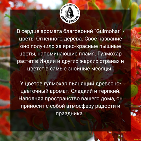 GULMOHAR индийские благовония-палочки (Shiva Special)