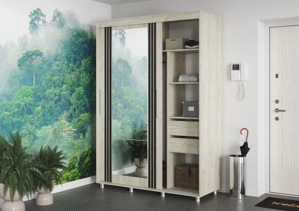 ФОРЕСТ Шкаф-купе 1,5 м