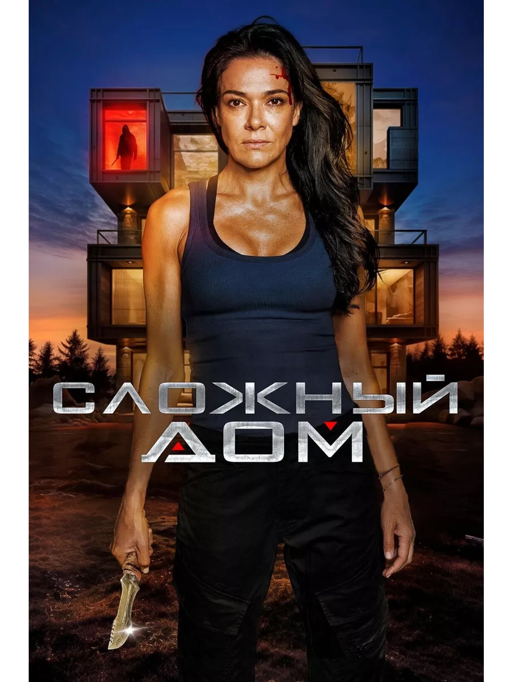 Сложный дом (2024) (DVD-R)