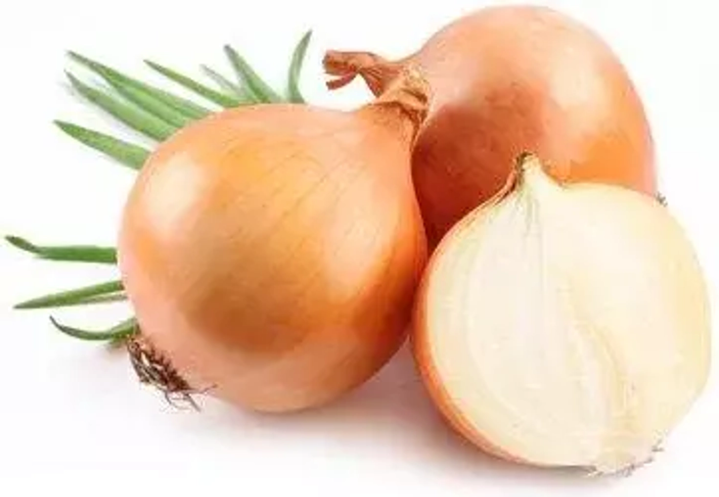 Почему лук полезен для здоровья?