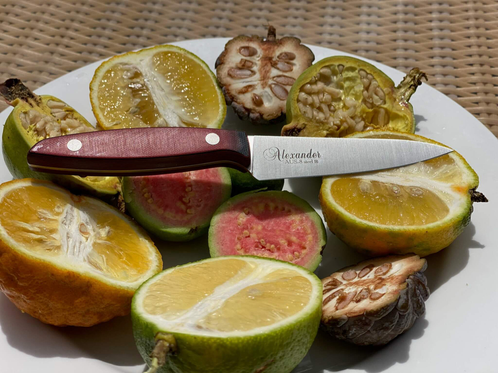 Кухонный нож Alexander L PRO AUS-8 Red G10