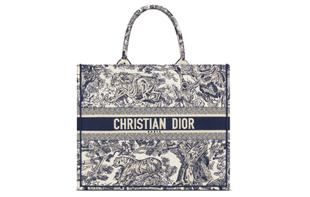 Сумка DIOR Book Tote, M1286ZTDT-M808