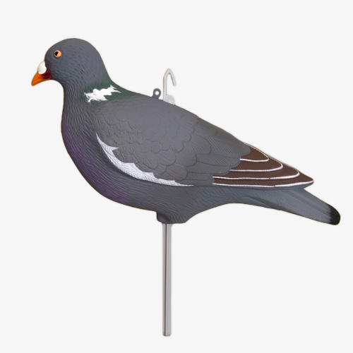 Чучела голубей