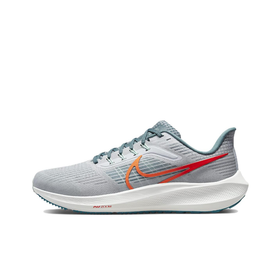 Мужские кроссовки Nike Air Zoom Pegasus 39 DH4071-003