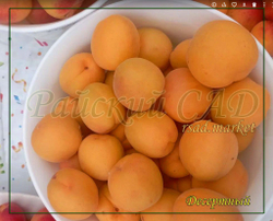 Абрикос Десертный