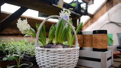 Кружка большая фарфоровая c берестой и с цитатами Чехова. Chekhov forever.