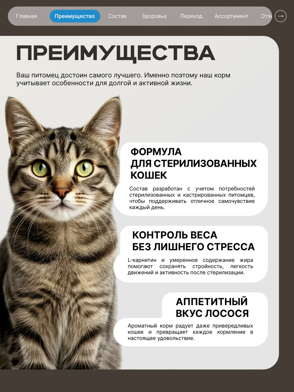 Корм сухой для стерилизованных кошек всех пород, с лососем, 5 кг, QUATTRO