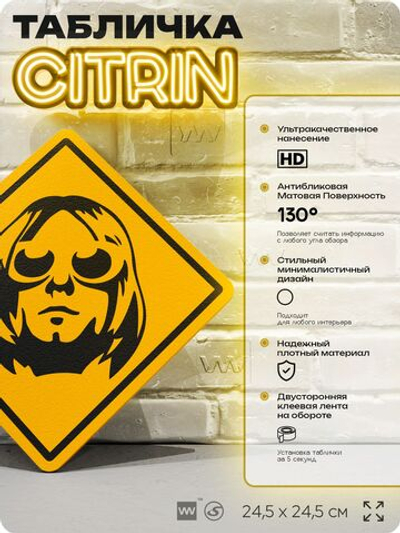 Табличка декоративная "Курт Кобейн, Kurt Cobain, Nirvana" на дверь и стену, прикольная штука в подарок, декоративный знак, 24,5х24,5 см, пластиковая, Айдентика Технолоджи