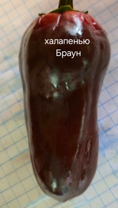 Халапенью Браун