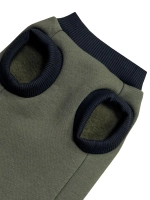 Одежда для кошек сфинкс гуччи