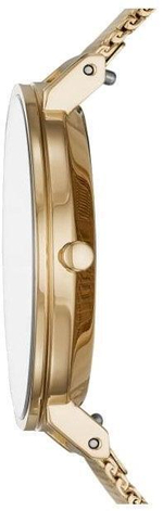 Женские наручные часы Skagen SKW2713