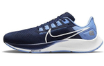 Кроссовки Nike Pegasus 38 "Unc"