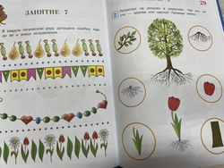 Развиваю логическое мышление: для детей 5-6 лет. Ломоносовская школа