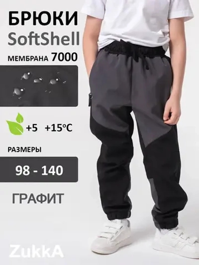 Брюки демисезонные из софтшелла