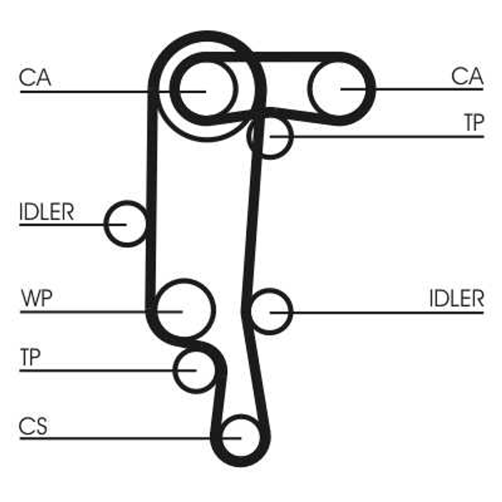 CONTINENTAL CTAM - CT957WP1-COT - Water Pump & Timing Belt Set