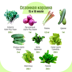Сезонная корзина