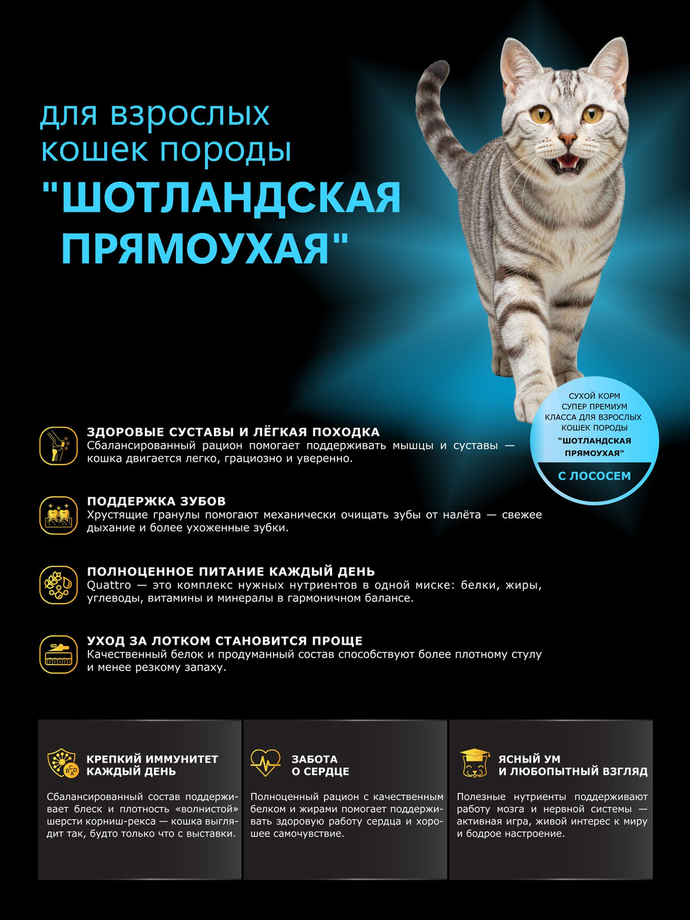 Корм сухой для взрослых кошек породы Шотландская прямоухая (Скоттиш-страйт), с лососем, 5 кг, QUATTRO