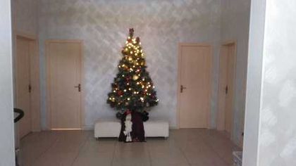 В «Романовском Парке» идет подготовка к встрече Нового 2019 года