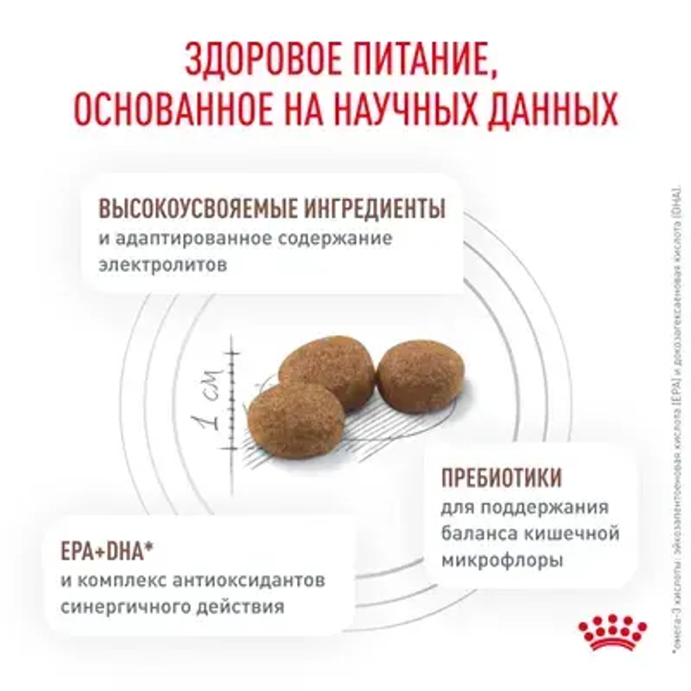 ROYAL CANIN Gastrointestinal Диетический корм для взрослых собак при нарушениях пищеварения, 2 кг