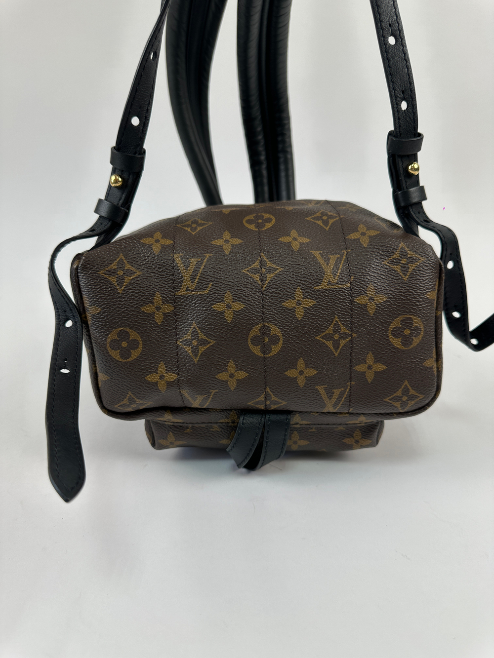 Рюкзак Louis Vuitton Palm Springs Mini