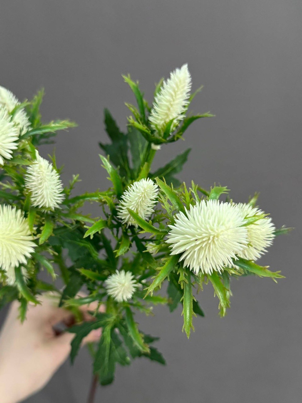 Эрингиум белый (h68 см)