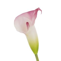 GAEM Цветок искусственный "Калла", L22 W14 H43 см