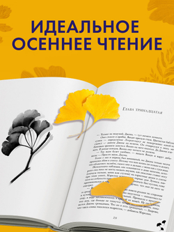 Наши лучшие дни