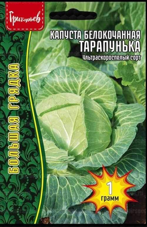 Капуста белокочанная ультраскороспелая Тарапунька