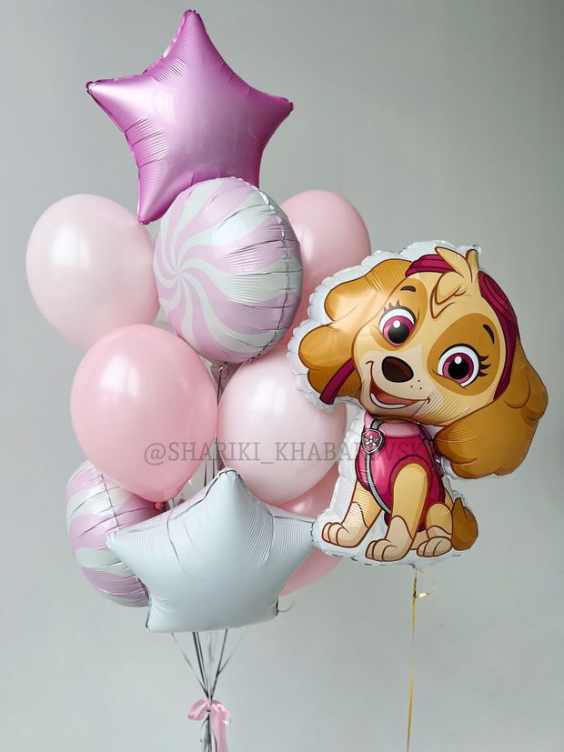 Воздушные шары №6007