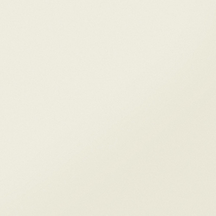 Керамика Будущего Моноколор CF 101 MR Белый 60x60