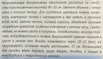 Маттиола двурогая Лиловая 0,3 г СМЦ-65
