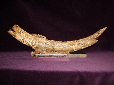 "Тритон", бивень мамонта