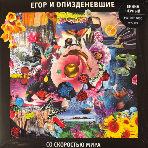 Егор И Опизденевшие – Со Скоростью Мира 2LP (Россия 2025г.) Black/Picture Т