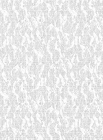 Бэлль - 11 белая