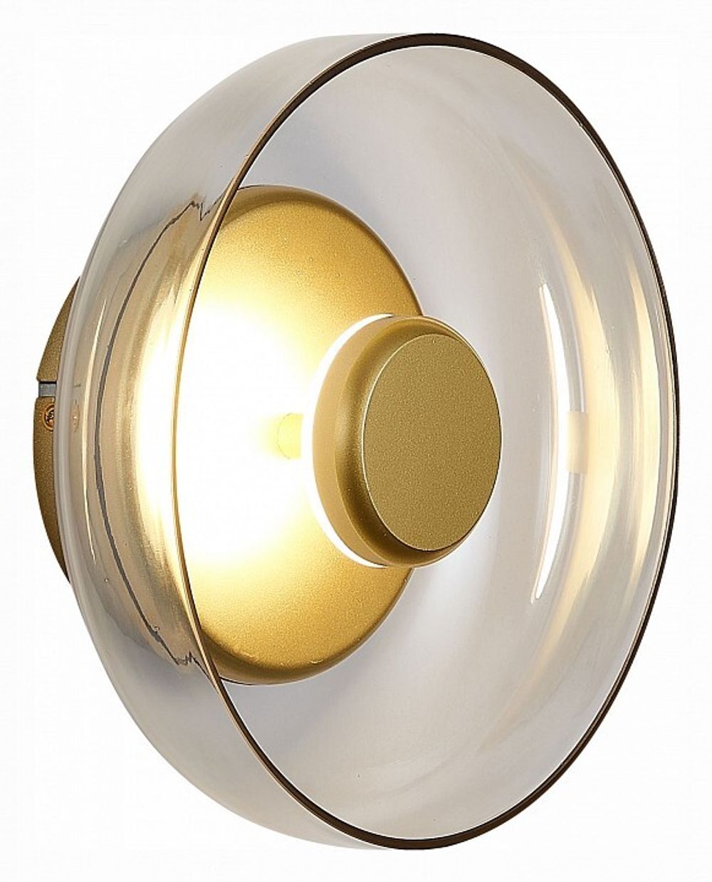 Накладной светильник ST-Luce Lazio SL6002.201.01