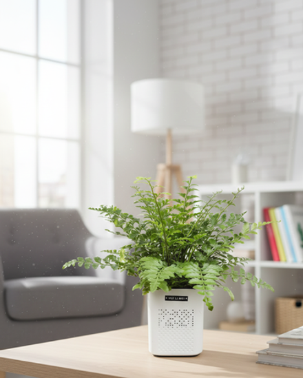 Папоротник Jim Fern горшок с автоп