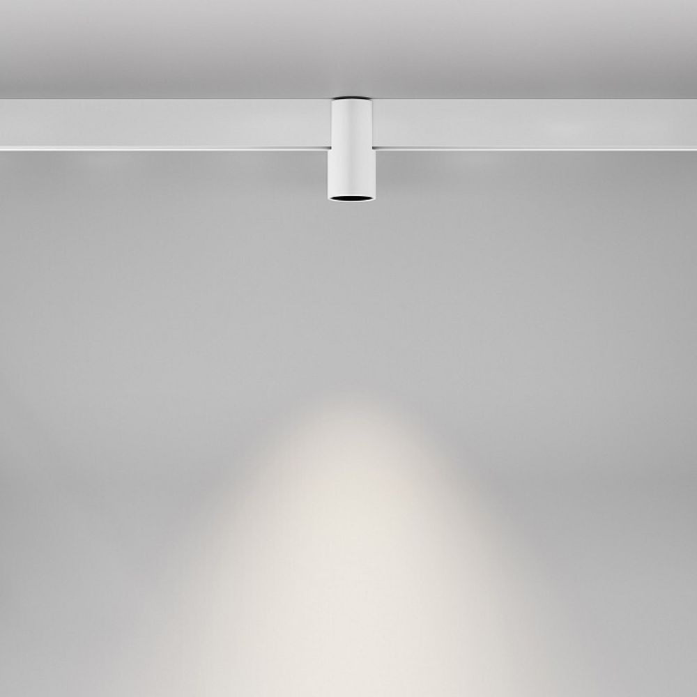 Накладной светильник Maytoni Alfa TR122-2-7W4K-W