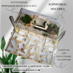 Супер большая ферма с муравьями в подарок «XXXL Древесная»