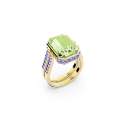 ORBITA:RING MUCO/GOS 55