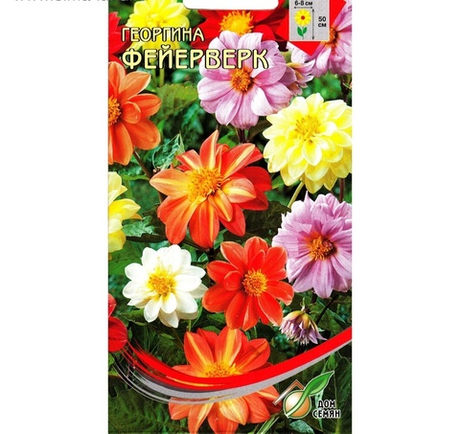 Георгина Фейерверк 12шт