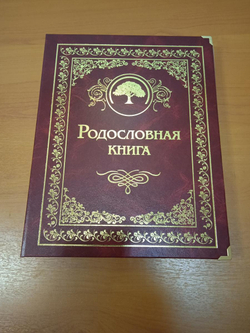 Семейный альбом родословная книга "Застолье", обложка балакрон (гранат)