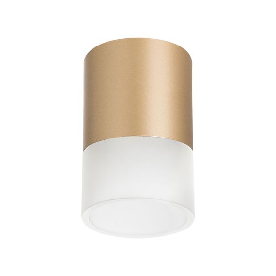 Комплект с потолочным светильником Lightstar Rullo (213490+202481) R349081