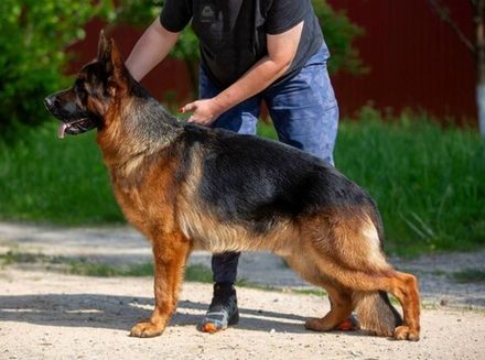 YUSTAS vom Team Furstenbrunn