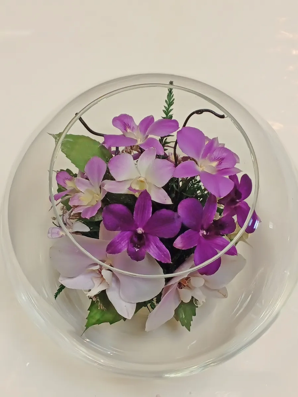 натуральные орхидеи в стекле, вакуум