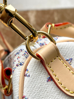 Louis Vuitton Speedy 20