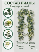 Лиана Эвкалипт папоротник